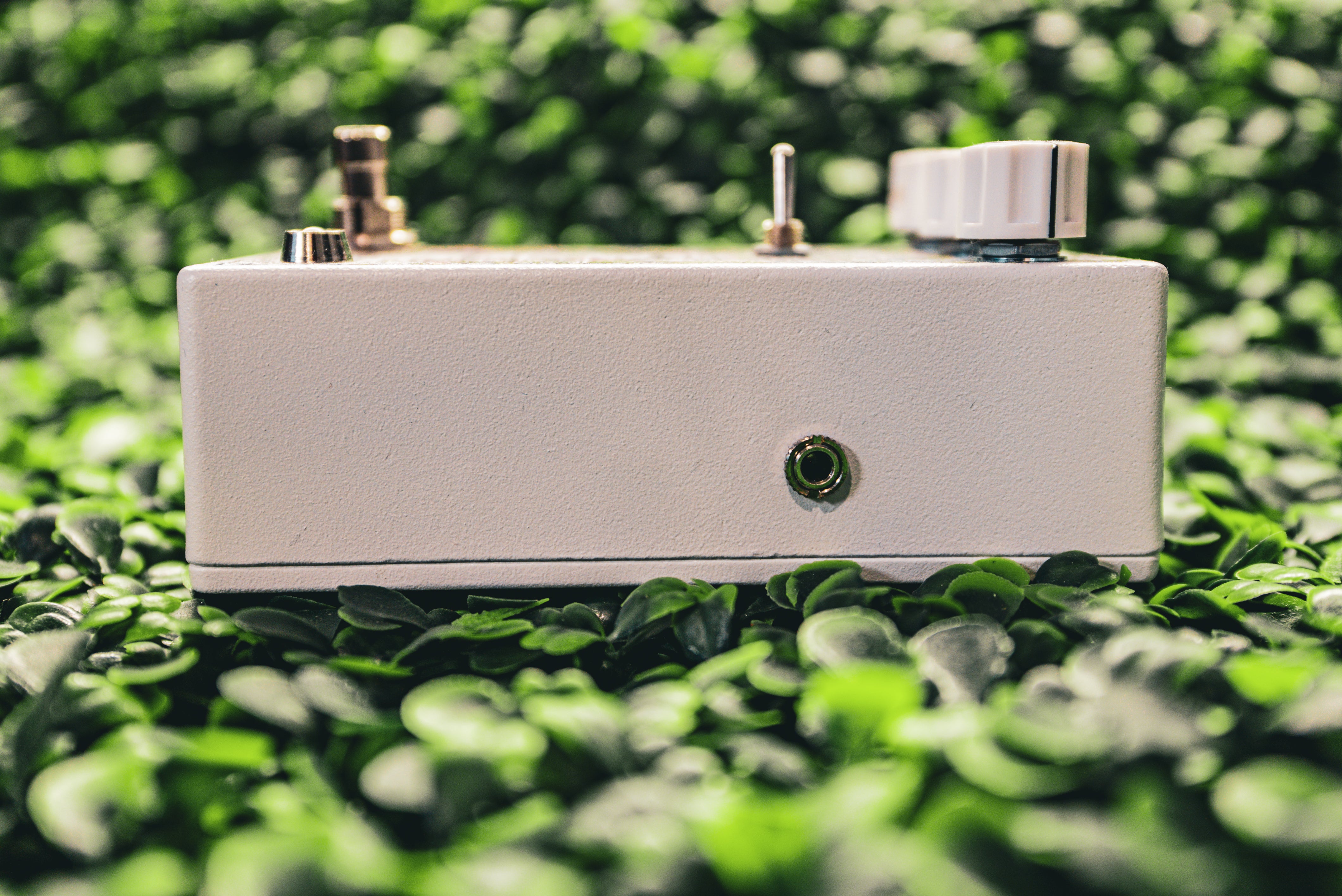 Matthews Effects The Botanist - Chorus/Phaser/Tremolo