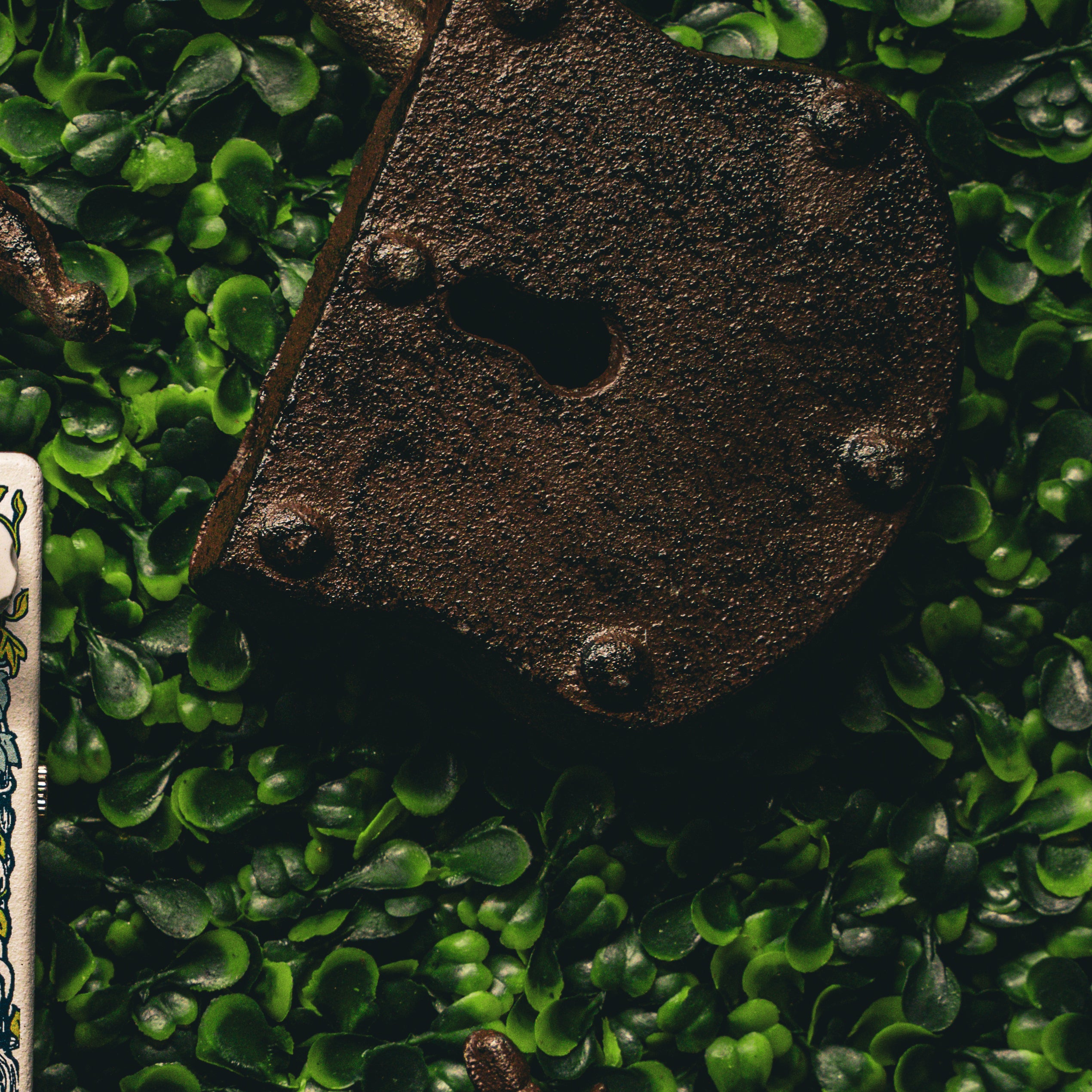 ギター Matthews Effects The Botanist The Botanist - Chorus/Phaser/Tremolo/Vibrato